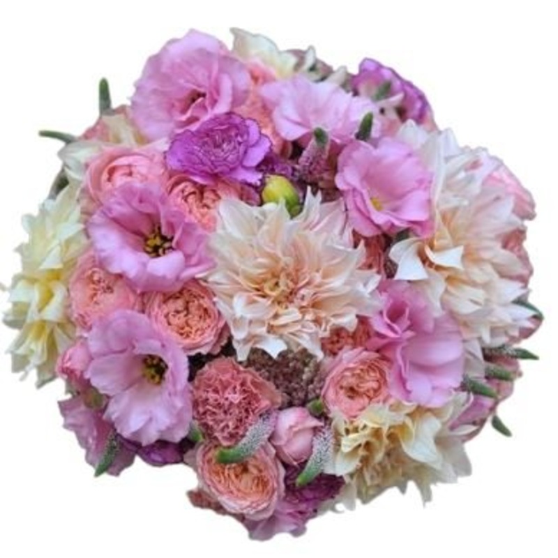 Pink Rhapsody Bouquet-Small (20 stems) & Regular (25 stems) & Medium (30 stems) & Large (35 stems) & Extra Large (40 stems) & Luxury (50 stems) & Glamour (65 stems) & Exclusive Glamour (80 stems) & Posh (100 stems)