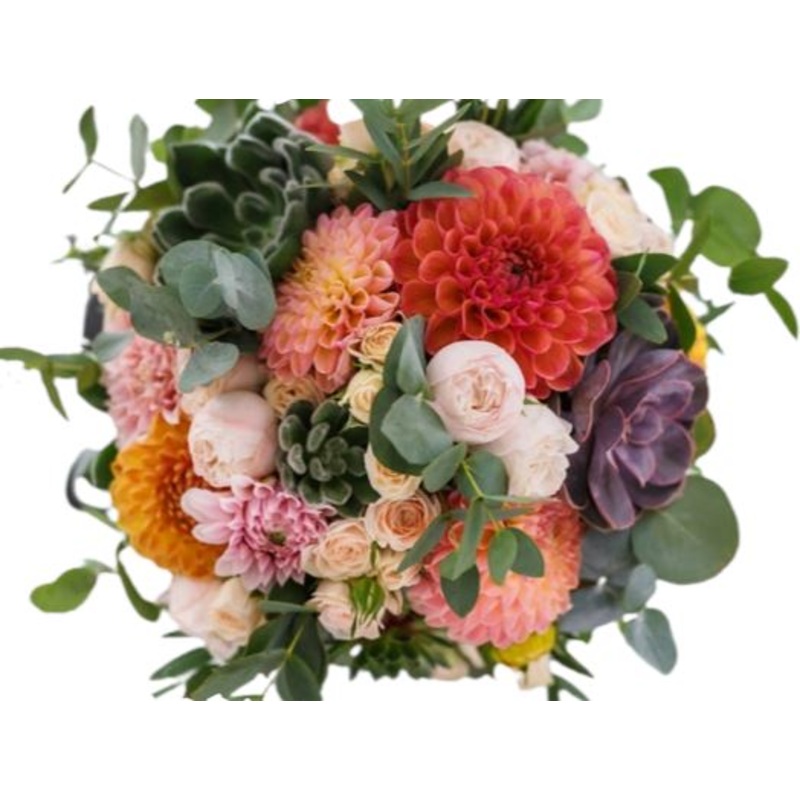 Salmon Bouquet with Succulent-Small (20 stems) & Regular (25 stems) & Medium (30 stems) & Large (35 stems) & Extra Large (45 stems) & Luxury (55 stems) & Glamour (65 stems) & Exclusive Glamour (80 stems) & Posh (100 stems)