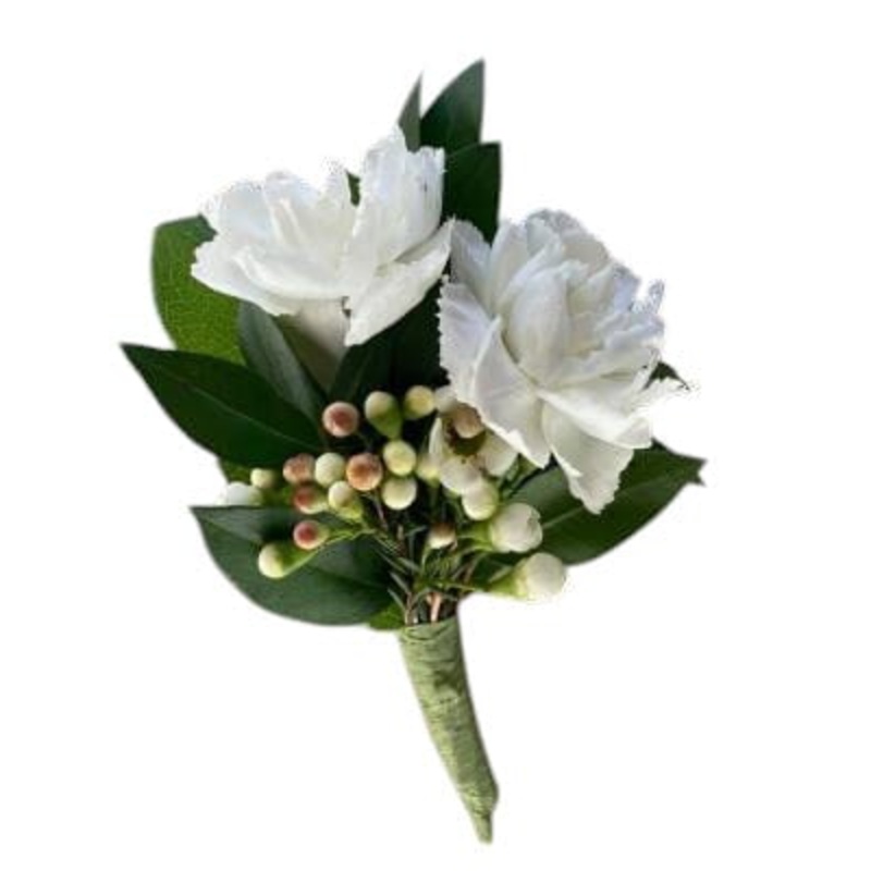 Spray Carnations Buttonhole-White Spray Carnations & Pink Spray Carnations & Burgundy Spray Carnations & Green Spray Carnations & Red Spray Carnations & Cerise Spray Carnations