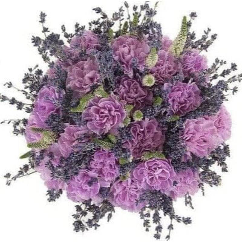 A Bouquet of Carnations and Lavender