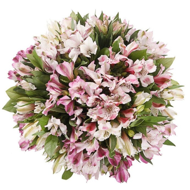 Blush Pink and White Alstoemeria Bouquet