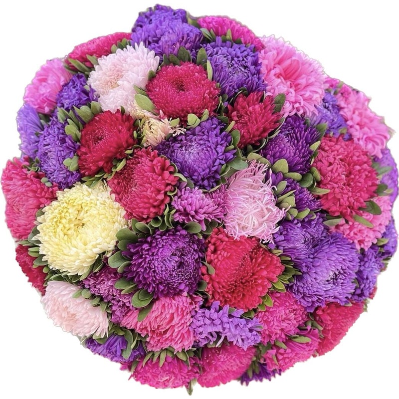 Bouquet of Bright Aster Bouquet