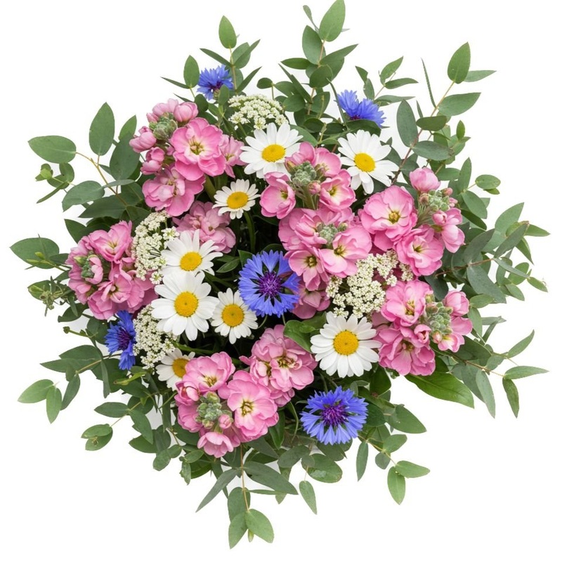 Bouquet of Stock with Daisy Leucanthemum and Cornflowers