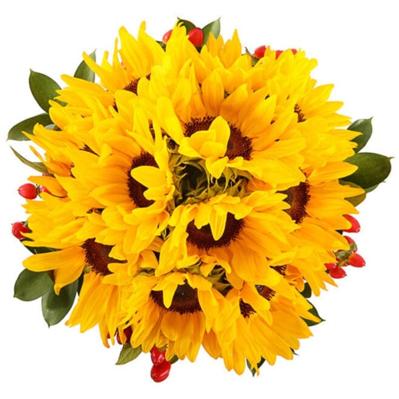 Bouquet of Sunflowers with Red Hypericum