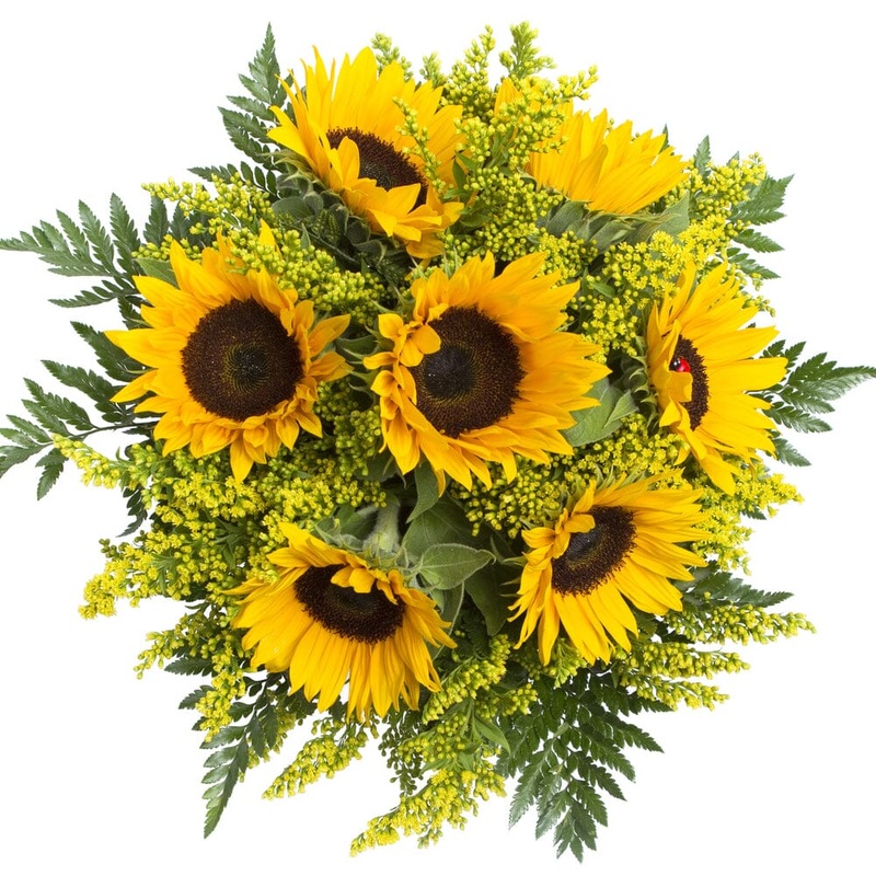Bouquet of Sunflowers with Solidago and Greenery