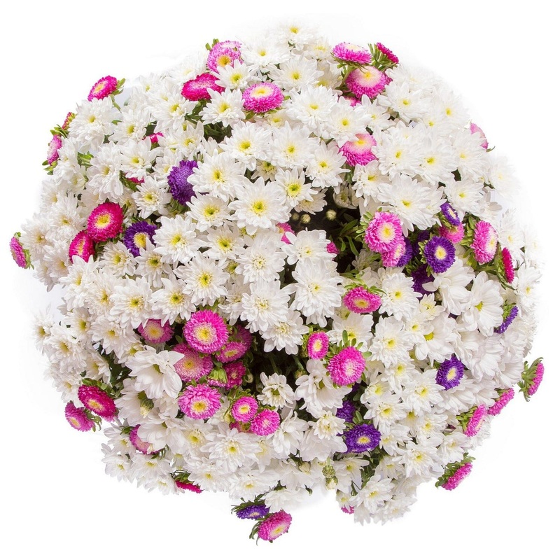 Chrysanthemum and Aster Bouquet
