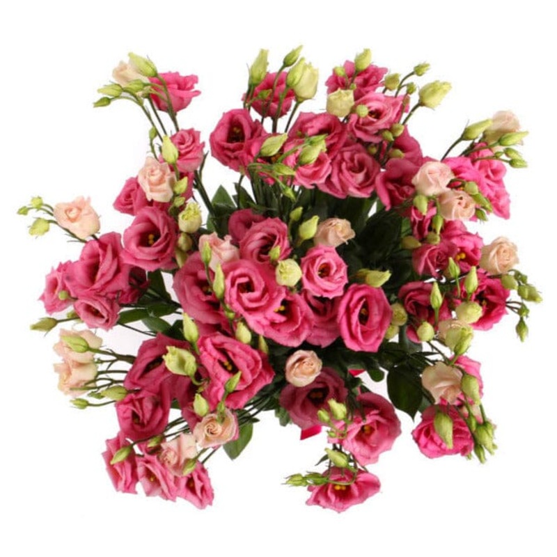 Classic Pink Lisianthus Bouquet
