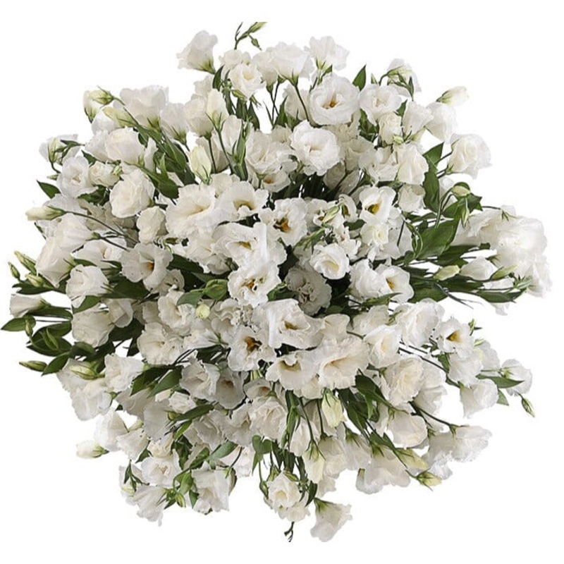 Classic Pure White Lisianthus Bouquet