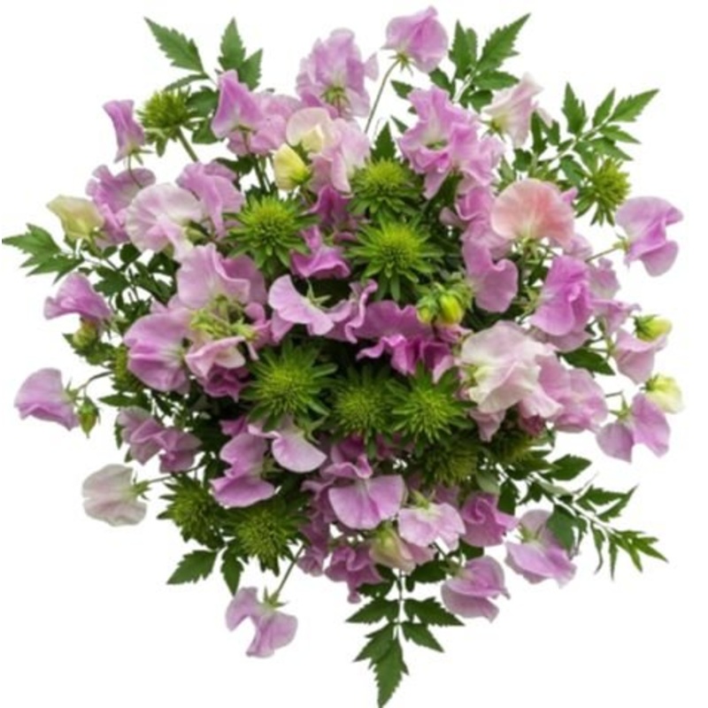 Classic Sweet Pea Bouquet with Greenery