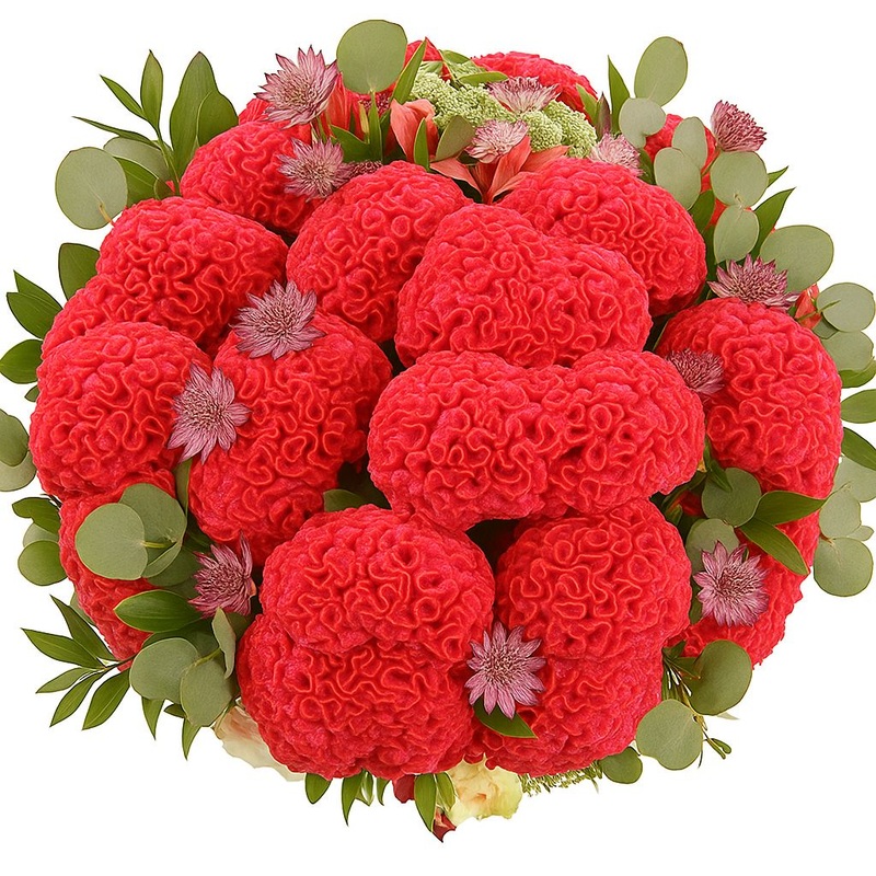 Crimson Celosia Bouquet-Extra Small (15 stems) & Small (20 stems) & Regular (25 stems) & Medium (30 stems) & Large (40 stems) & Extra Large (50 stems) & Luxury (60 stems) & Glamour (70 stems) & Exclusive Glamour (80 stems) & Premium (100 stems) & Premium