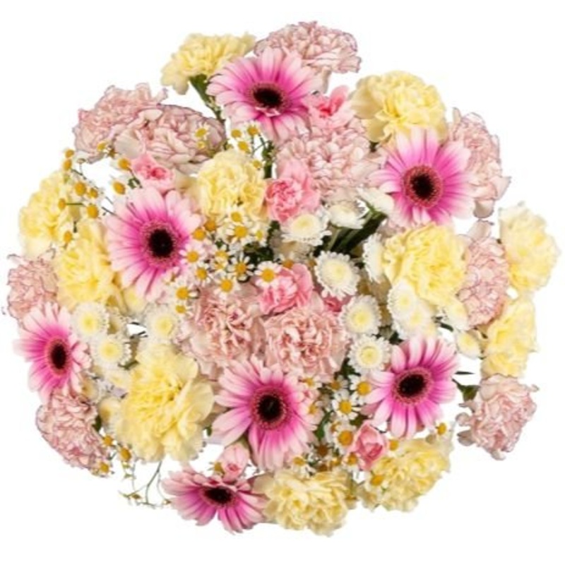 Pretty Pastel Bouquet of Carnations and Gerbera
