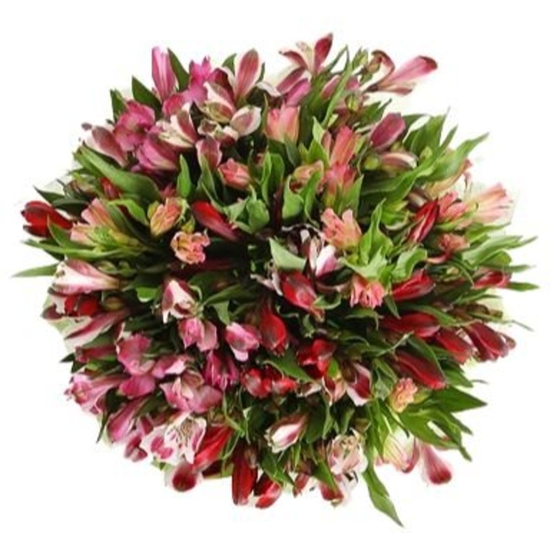 Red and Pink Alstroemeria Bouquet