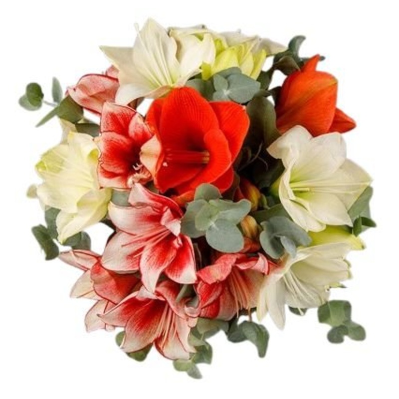 Refined Shades of Amaryllis Bouquet