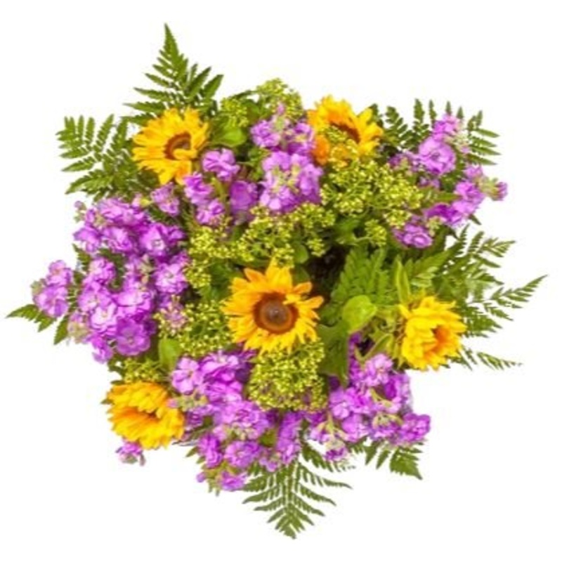 Sunflowers and Cerise Stock Bouquet