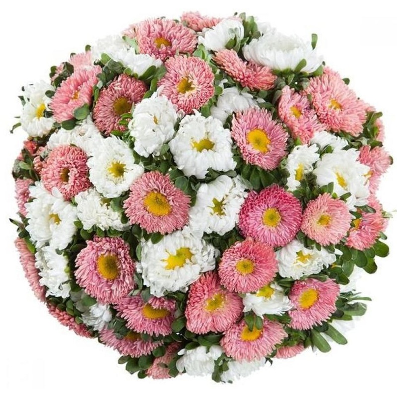 White and Pink Aster Bouquet-Small (20 stems) & Regular (30 stems) & Large (40 stems) & Extra Large (50 stems) & Luxury (60 stems) & Glamour (80 stems) & Exclusive Glamour (100 stems) & Premium  (120 stems) & Posh (150 stems)