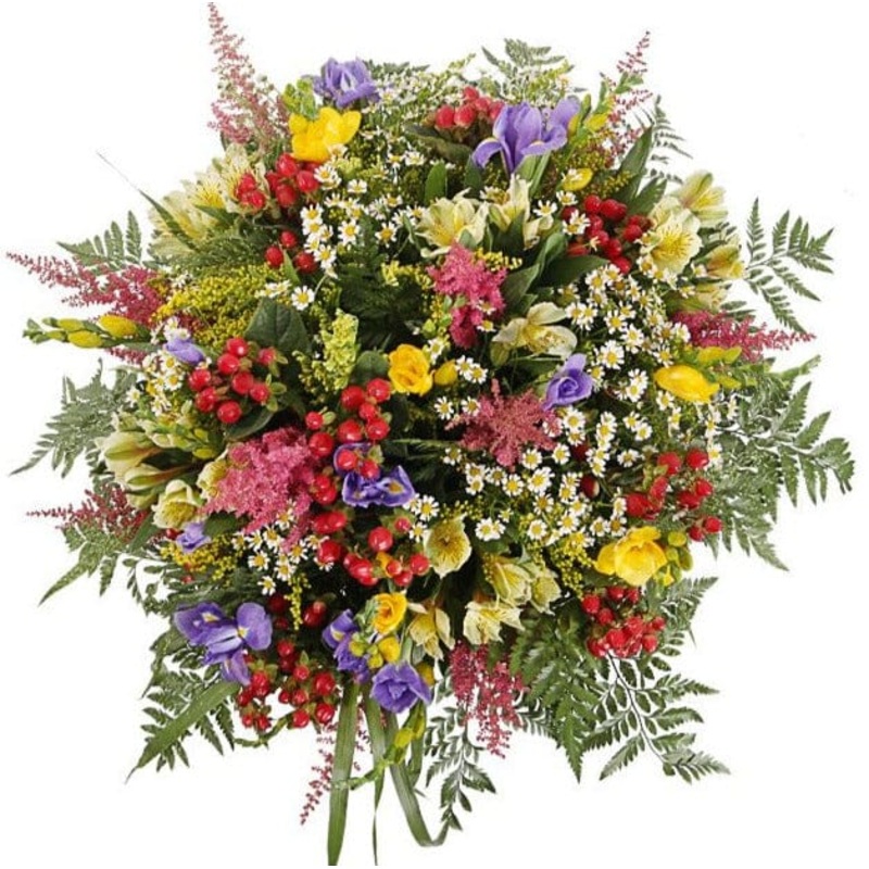 A Bouquet of Wild Paradise Flowers