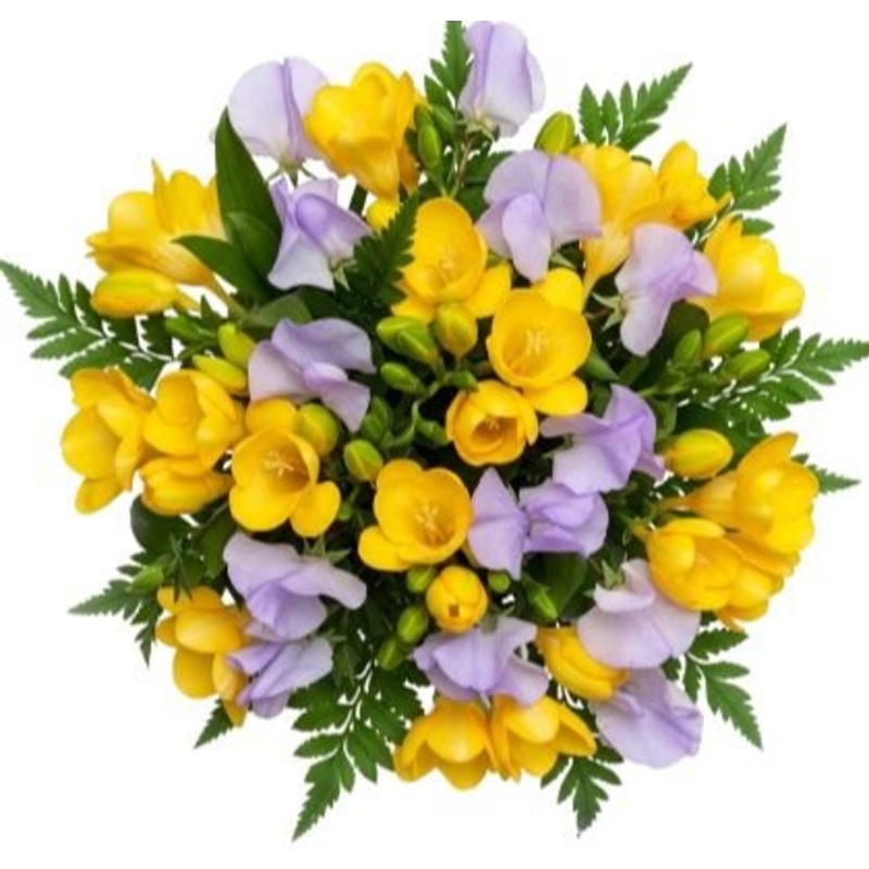 Aromatic Bouquet of Freesias and Sweet Pea