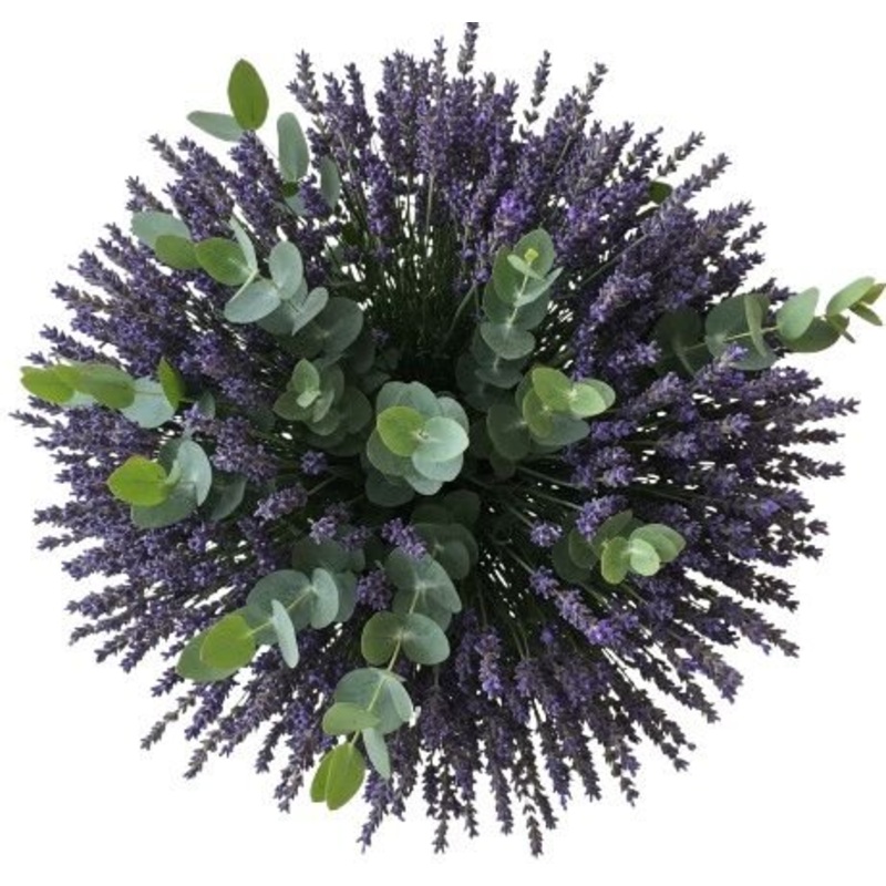 Aromatic Bouquet of Lavender and Eucalyptus