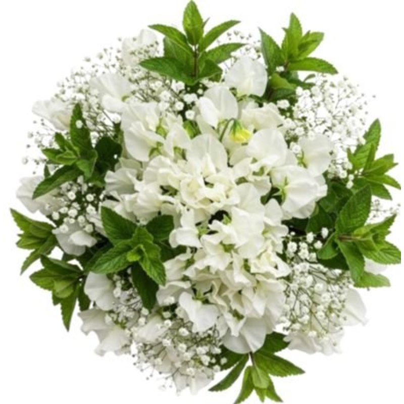 Aromatic Bouquet of Sweet Pea and Gipsophila with Mint Leaves