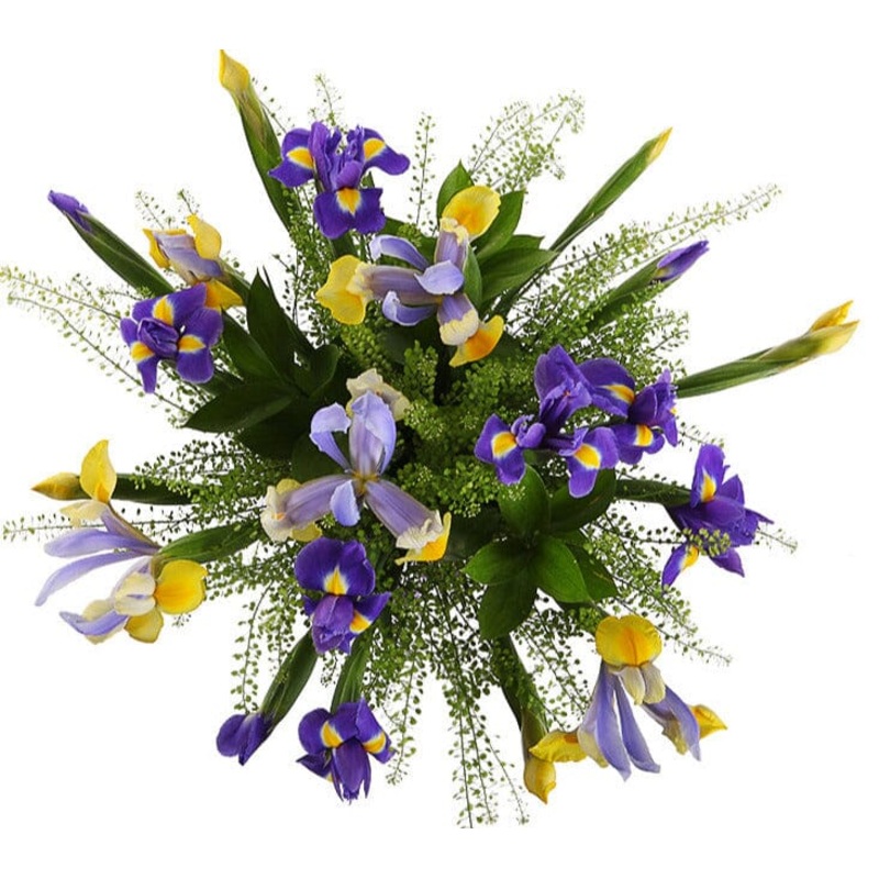 Blue and Yellow Iris Bouquet-Extra Small (20 stems) & Small (30 stems) & Regular (40 stems) & Large (50 stems) & Extra Large (60 stems) & Luxury (80 stems) & Glamour (100 stems) & Exclusive Glamour (125 stems) & Premium (150 stems) & Premium Extra (175 st