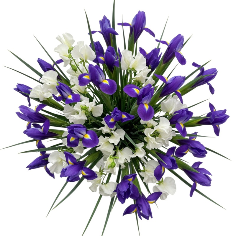 Bouquet of Blue Iris and Sweet Peas