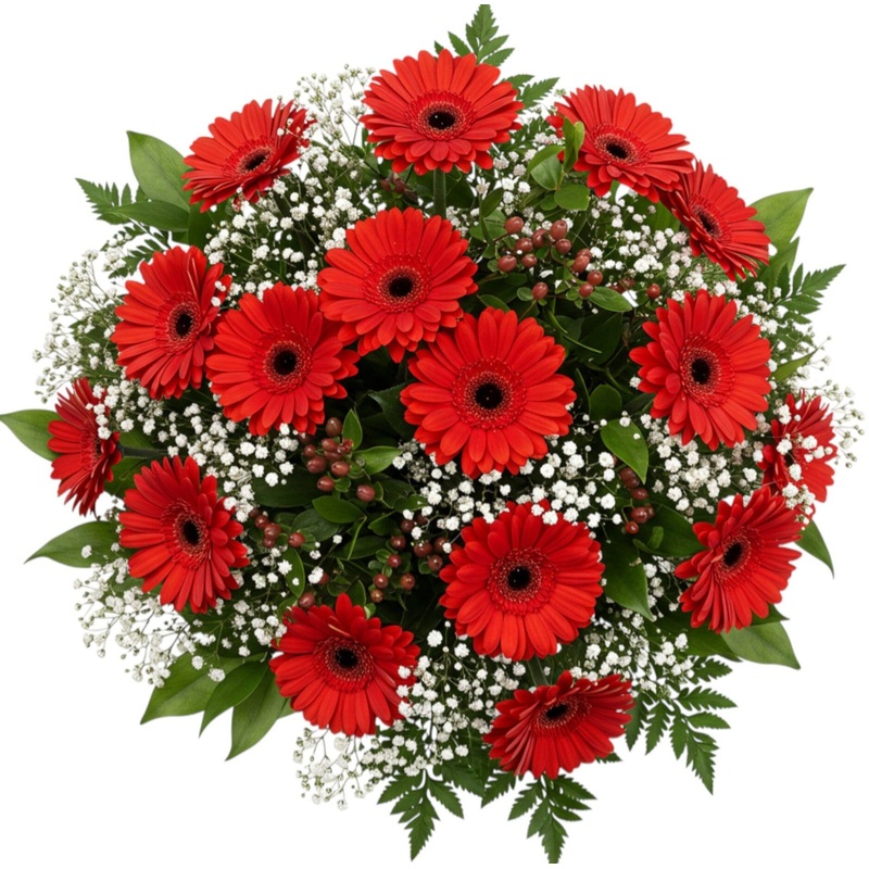 Bouquet of Red Gerberas with Gypsophila and Hypericum