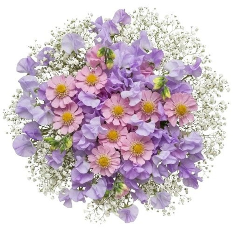 Bouquet of Sweet Pas and Pink Cosmos with Gypsophila
