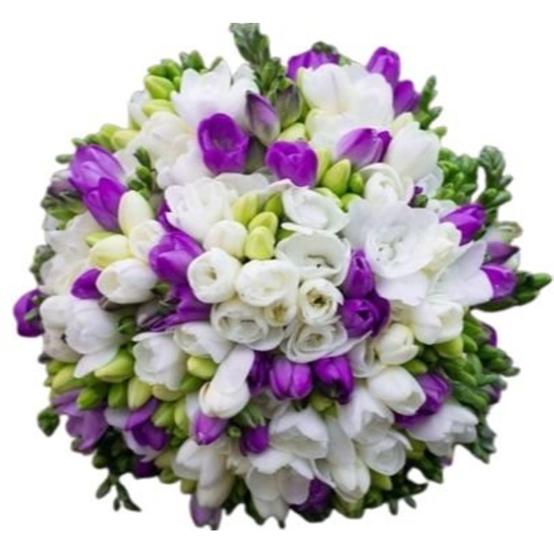 Bouquet of White and Purple Freesias