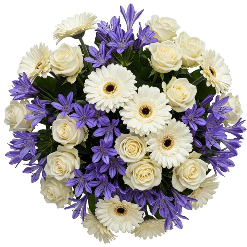 Bouquet of White Roses and Gerberas with Blue Agapanthus