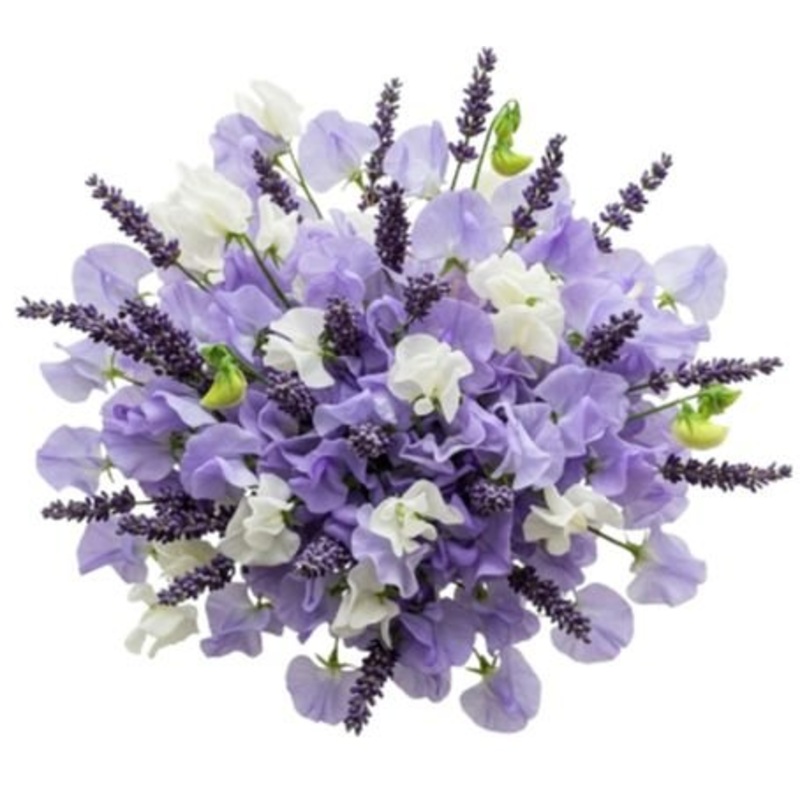 Bouquet White and Violet Sweet Pea with Aromatic Lavender