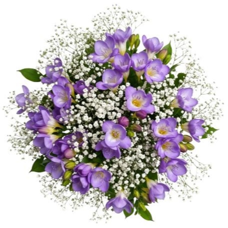 Charming Bouquet of Freesias and Gypsophila
