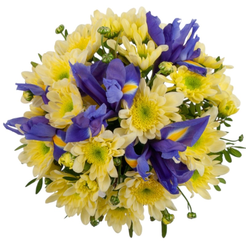 Chrysanthemum and  Blue Iris Bouquet