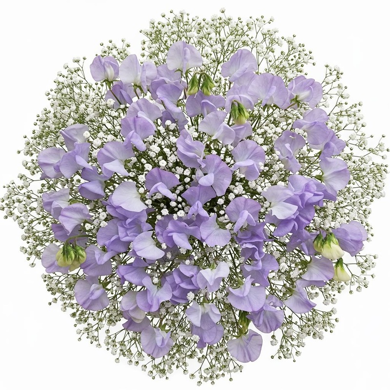 Classic Sweet Pea and Gypsophila Bouquet