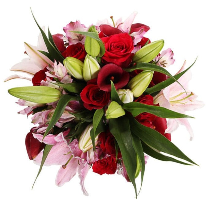 Crimson Rhapsody Bouquet-Extra Small (15 stems) & Small (20 stems) & Medium (25 stems) & Regular (30 stems) & Large (40 stems) & Luxury (50 stems) & Glamour (65 stems) & Exclusive Glamour (80 stems) & Premium (100 stems)