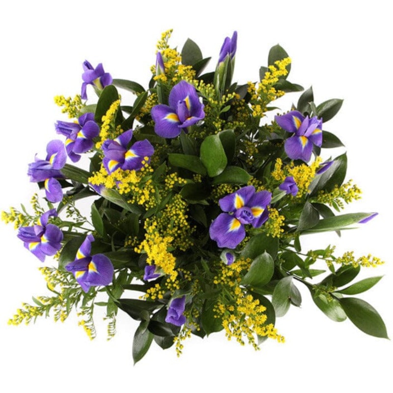 Cute Bouquet of Iris with Solidago