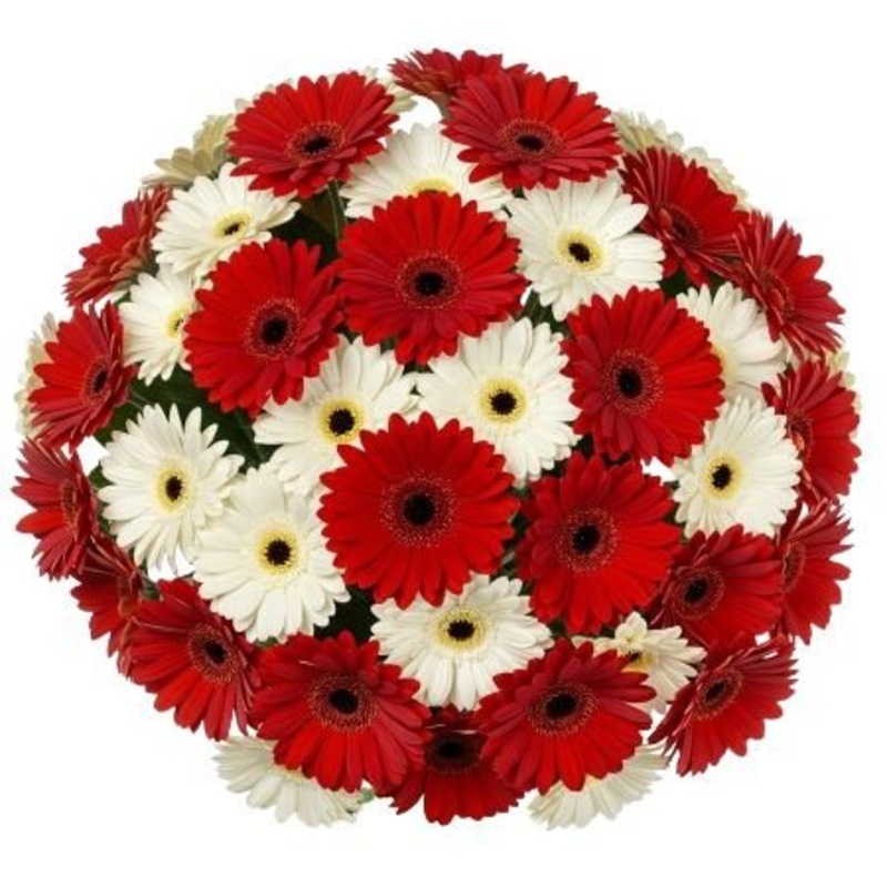 Red and White Gerberas Bouquet