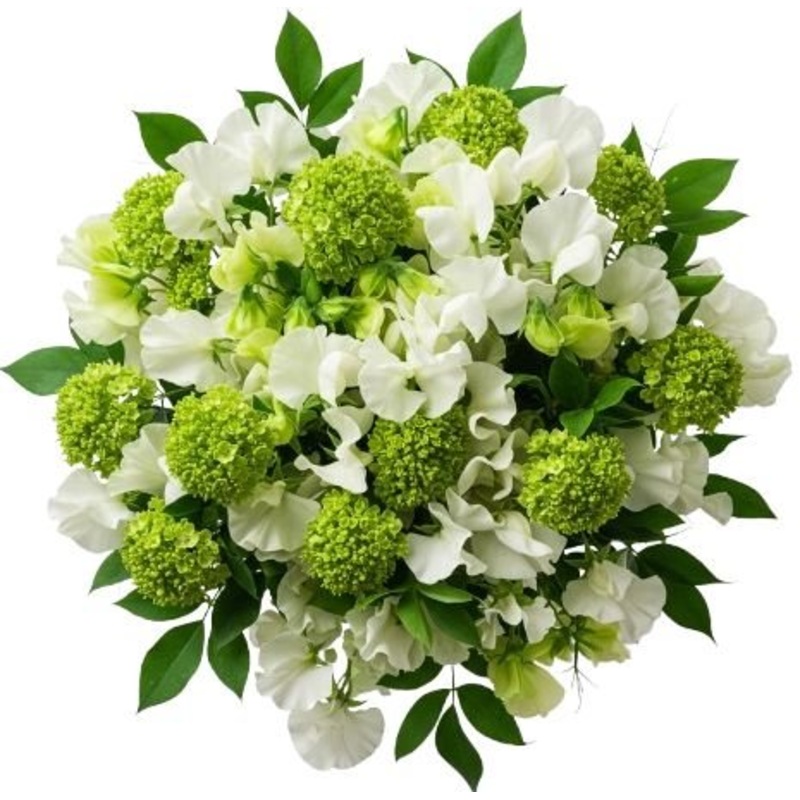 Sweet Peas in Blooming Green Bouquet