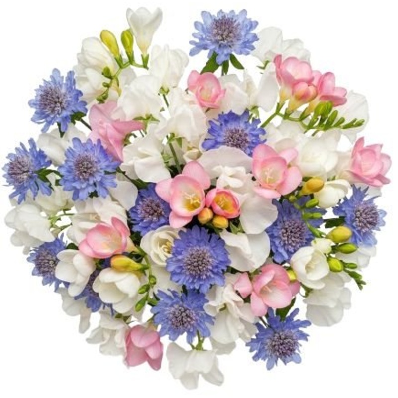 White Freesias and Sweet Pea with Scobiosa Bouquet