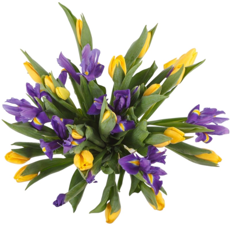 Yellow Tulips and Iris Bouquet