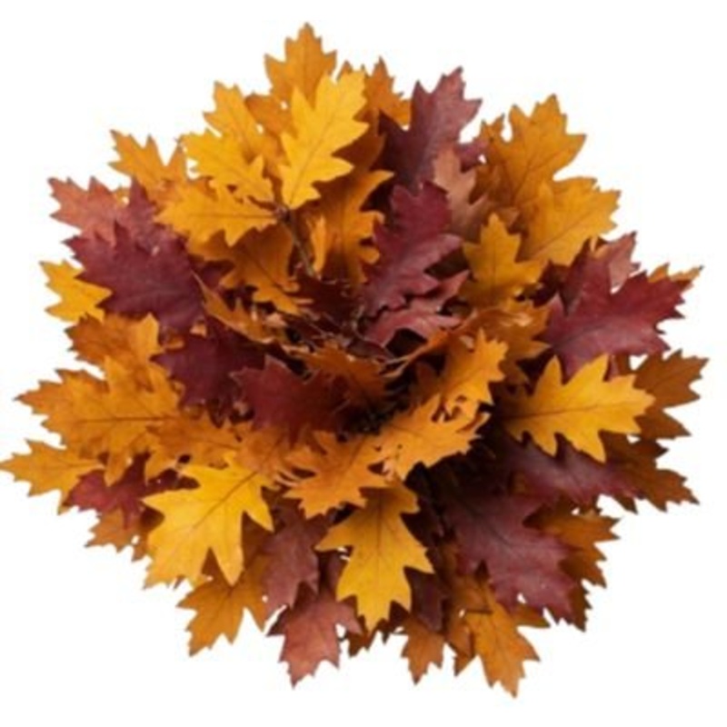 Autuman Palete Oak Leaves Bouquet