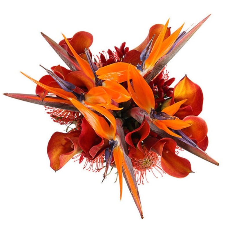 Autumn Blaze in Bloom Bouquet-Extra Small (15 stems) & Small (20 stems) & Medium (25 stems) & Regular (30 stems) & Large (35 stems) & Extra Large (40 stems) & Luxury (50 stems) & Glamour (60 stems) & Exclusive Glamour (85 stems)