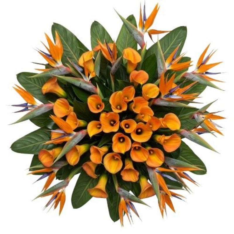 Birds of Paradise and Calla Lily Flowers Bouquet