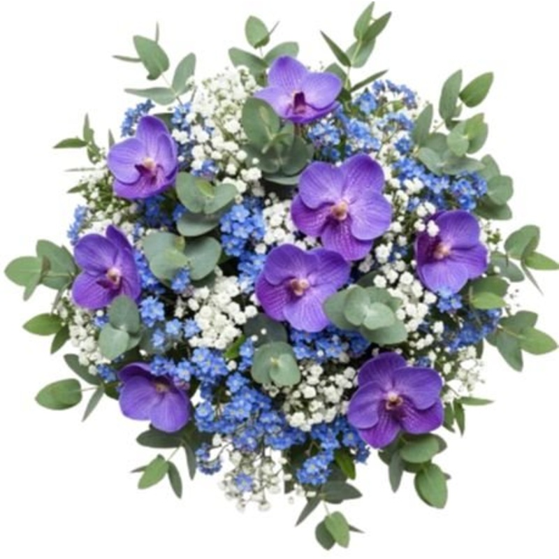 Blue Forget Me Not and Gypsophila Bouquet with Vanda Orchids Blooms