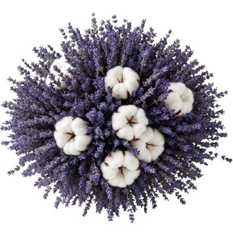 Bouquet Cotton and Lavender-Small (25 stems) & Regular (50 stems) & Large (75 stems) & Luxury (100 stems) & Glamour (150 stems) & Exclusive Glamour (200 stems) & Premium (250 stems) & Premium Extra (300 stems + lavender) & Deluxe  (350 stems + lavender) &