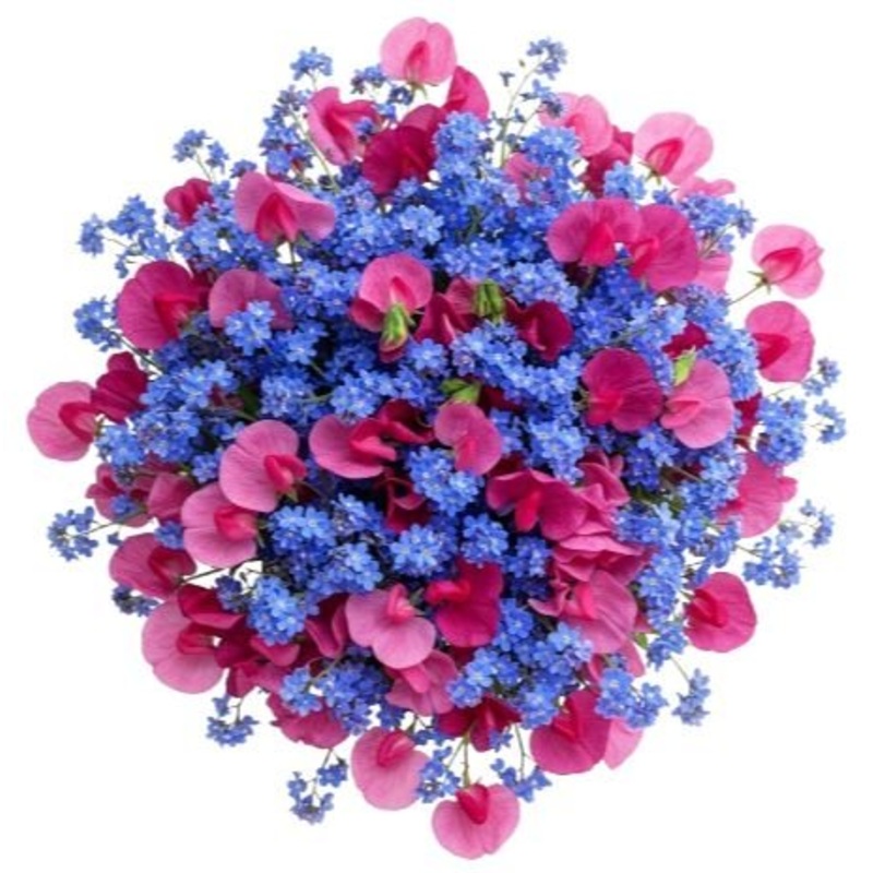 Bouquet of Blue Forget Me Not and Sweet Pea