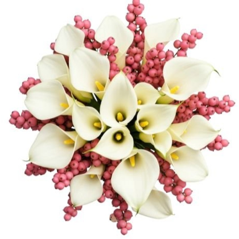 Bouquet of Calla Lily with Pink Snowberry