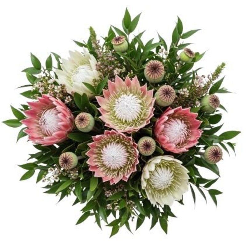 Bouquet of Luxury Protea with Papaver Seedhead