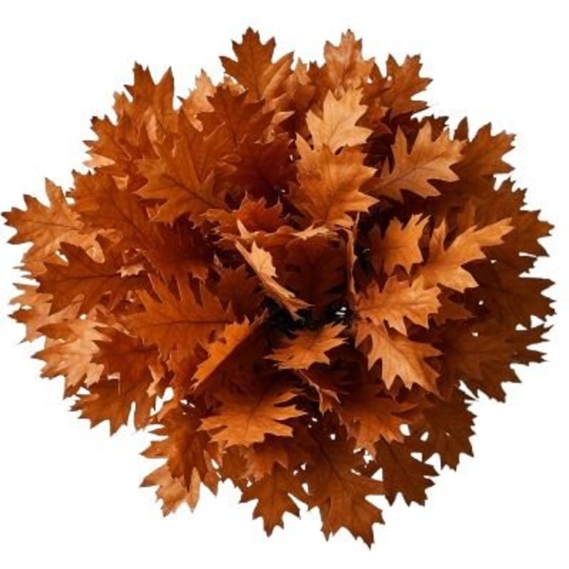 Bouquet Orange Oak Leaves-Extra Small (5 stems) & Small (10 stems) & Regular (15 stems) & Medium (20 stems) & Large (25 stems) & Extra Large (30 stems) & Luxury (40 stems) & Glamour (50 stems) & Exclusive Glamour (60 stems) & Premium (70 stems) & Premium