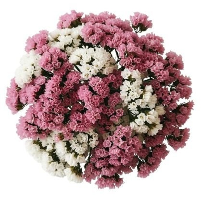 Bouquet Pink and White Limonium