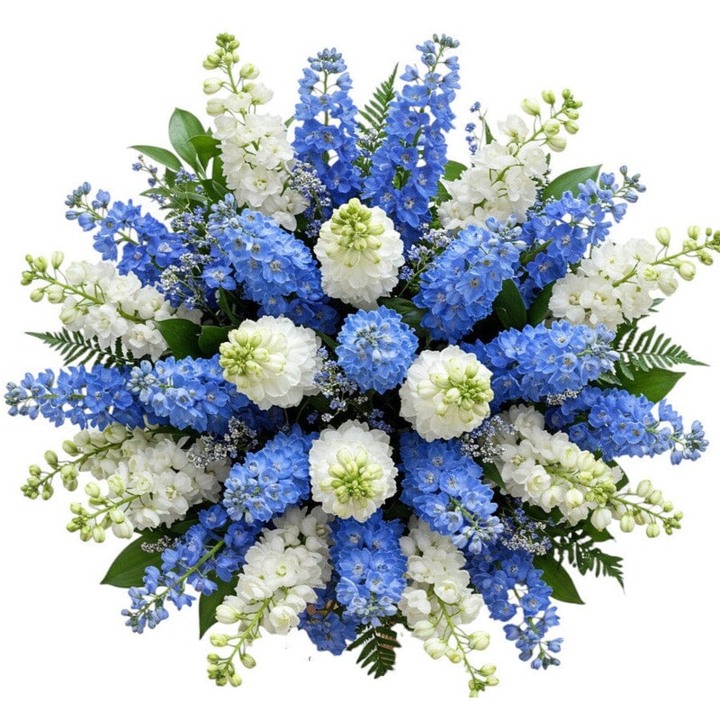Bouquet White and Blue Delphinium